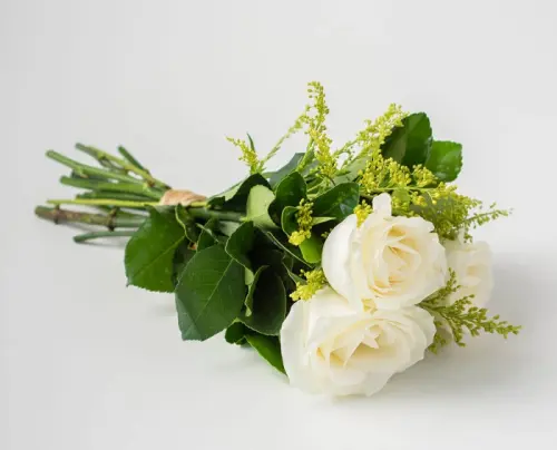 00a036dc0d2c.webp
