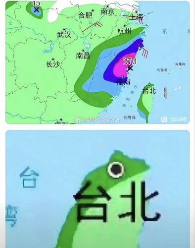 1000041362.jpg
