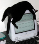 576ce43853f0.png