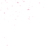 bloom1