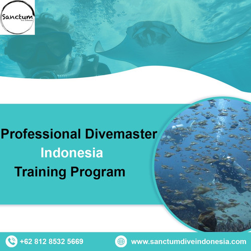 Professional Divemaster Indonesia Training Program.jpg