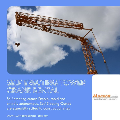 Self erecting tower crane rental.jpg