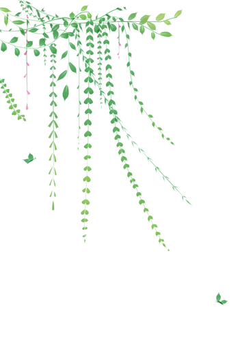千库网 绿叶装饰花藤插画 元素编号11919451.png