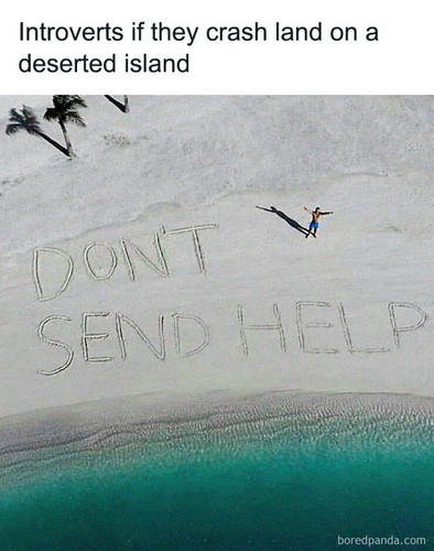 funny silly random memes.jpg