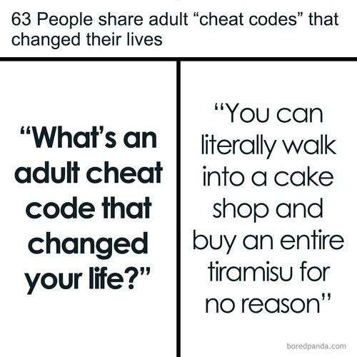 life changing adult cheat codes meme.jpg
