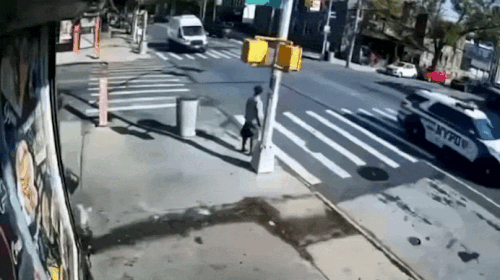 1776811198022776.gif