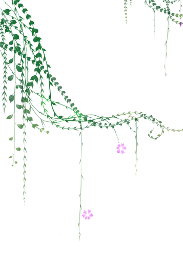 千库网 花朵花卉绿叶花藤 元素编号11918647.png