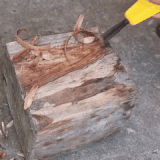942ef2fba8b2.gif