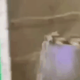 689a2b0ffd8d.gif