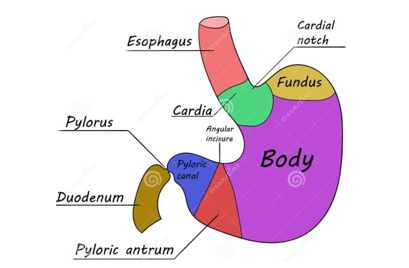 e262175e497a.png