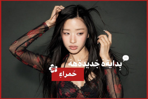 file 25462.jpg