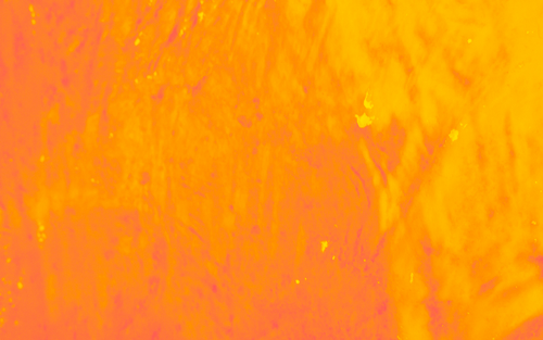 temp.png
