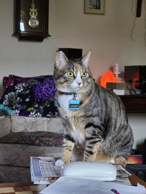 684824862 10232896766425174 842406759627250504 n.jpg