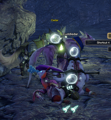 MonsterHunterRise 4pSZehkcU1.png