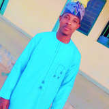 temp.png