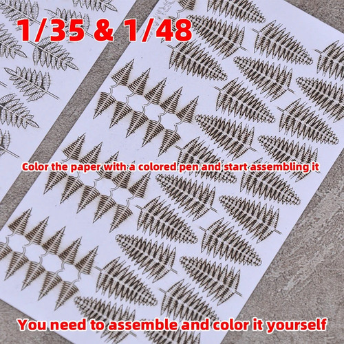 737c486456e6.jpg