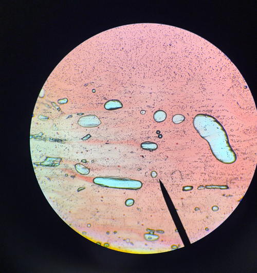 Screenshot 2026 04 27 at 10.08.24 AM.png