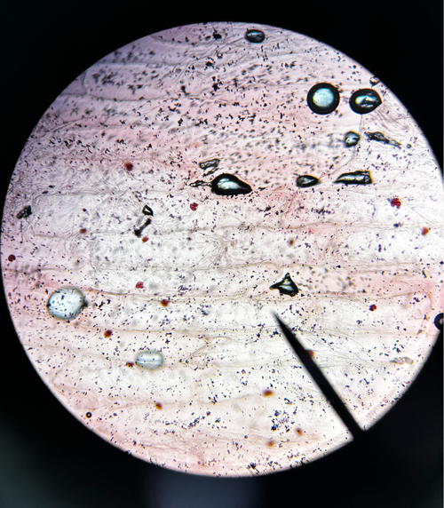 Screenshot 2026 04 27 at 10.08.32 AM.png