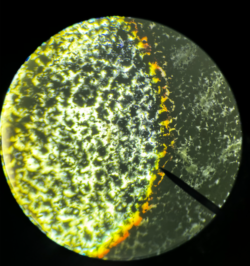 Screenshot 2026 04 27 at 10.09.04 AM.png