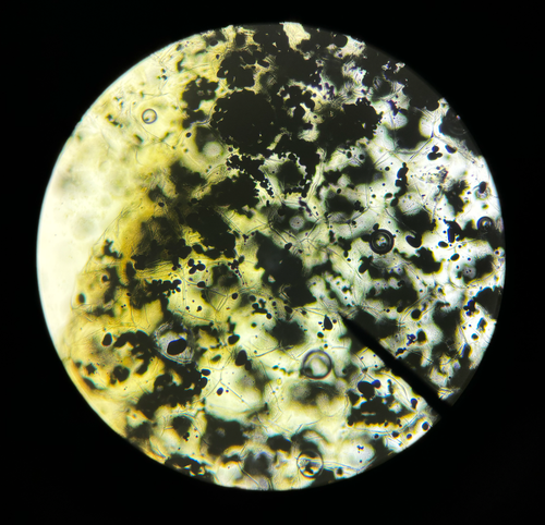 Screenshot 2026 04 27 at 10.09.11 AM.png