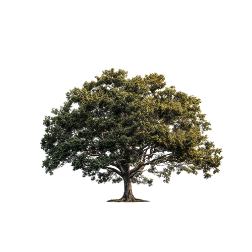 984e85dc1201.png