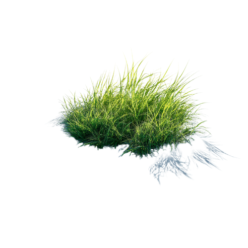 c580d093906a.png
