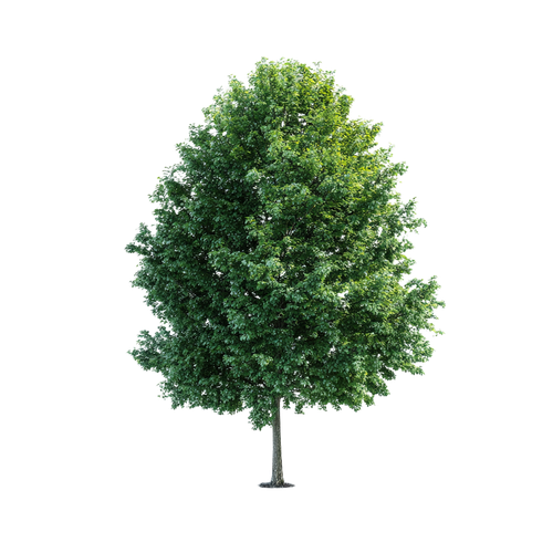 3403fc919f9f.png
