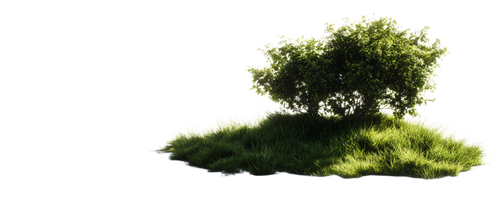 9bc0284a96bf.png