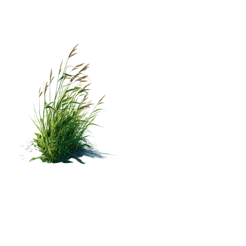 216320eb79e9.png
