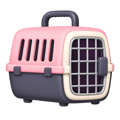 Kedi Taşıma Çantaları