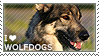 IMG 6400.png