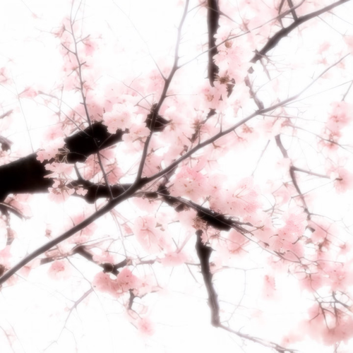 1000111022.png