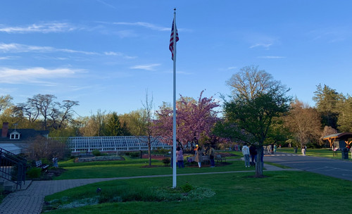 IMG 4318.jpg
