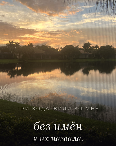 915b338f48aa.png