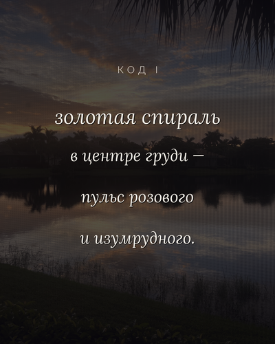 c31557cc5568.png