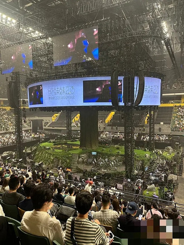 16312132.jpg