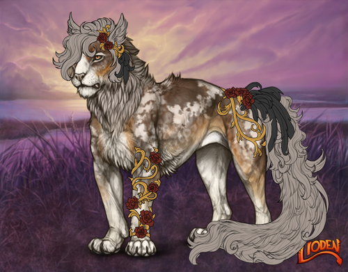 felis comm.png