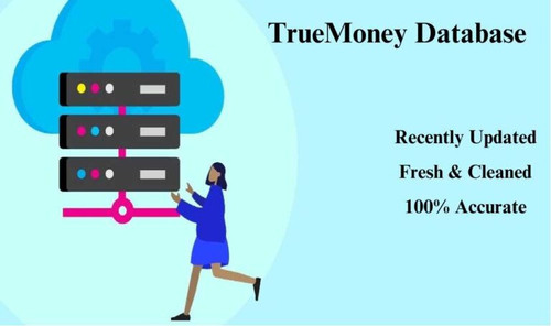 TrueMoney Database 768x455.jpg