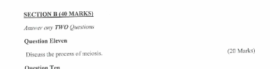 temp.png