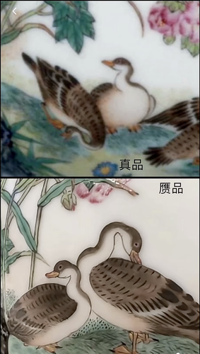 885411b72e1c.png
