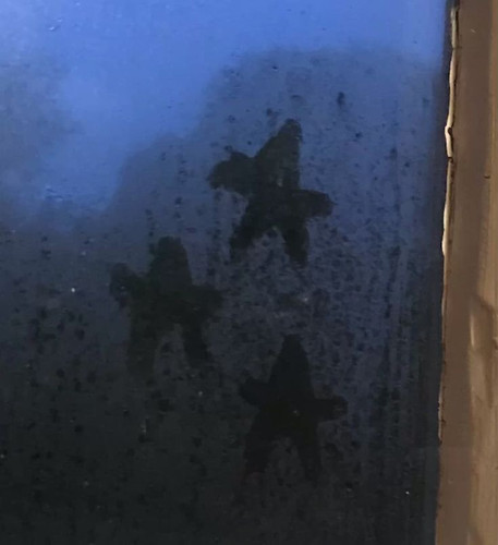 #stars #nighttime .jpg