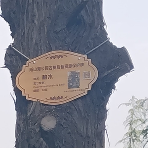 1000028456.jpg