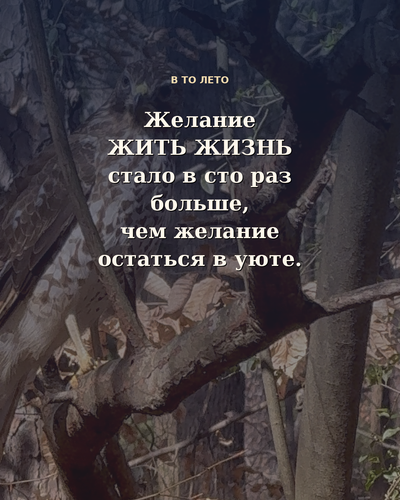 82deb5a2f8f4.png