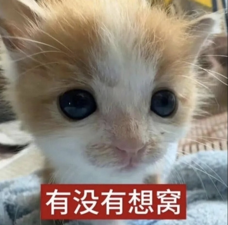 Screenshot 2026 04 27 08 21 08 096 com.tencent.mm 1777249333434edit.jpg