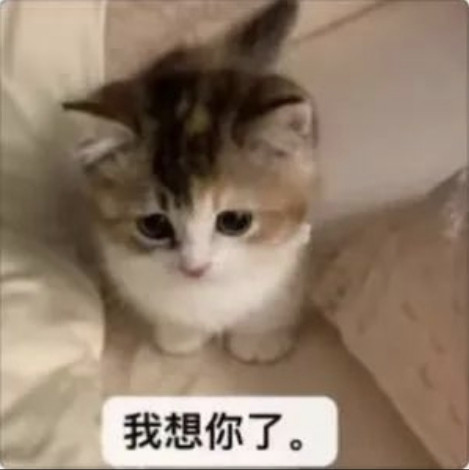 Screenshot 2026 04 27 08 21 04 440 com.tencent.mm 1777249304965edit.jpg