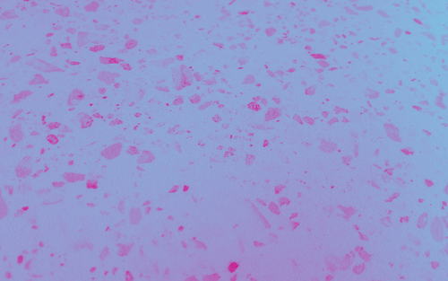 temp.png