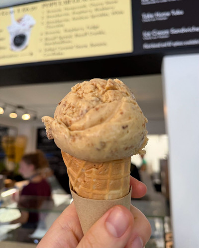 bears ice cream