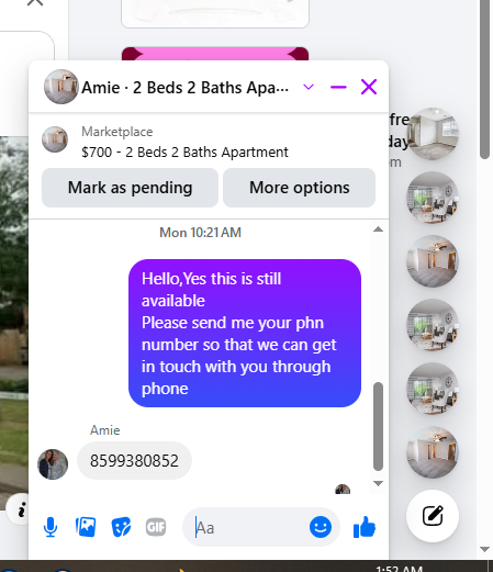 Amie.png