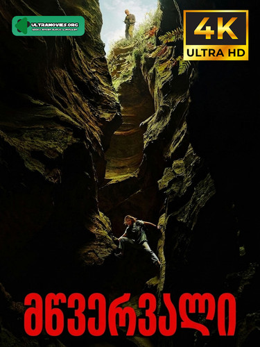 apex cover.jpg