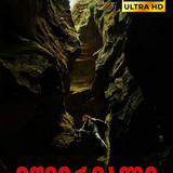 apex cover